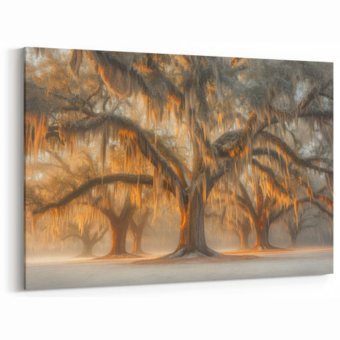 Louisiana Cultural Art - Majestic Oak Trees Draped in Spanish Moss