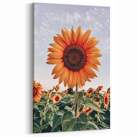 Farmhouse Wall Art - Rustic Sunflower Decor for Vintage Farmhouse Style