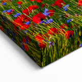 Tuscany Wall Art – Colorful Flower Field and Cypress Trees Print