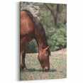Farmhouse Wall Art Horse Grazing Print | Rustic Country Animal Decor