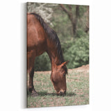 Farmhouse Wall Art Horse Grazing Print | Rustic Country Animal Decor