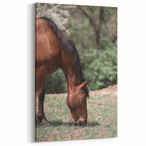 Farmhouse Wall Art Horse Grazing Print | Rustic Country Animal Decor
