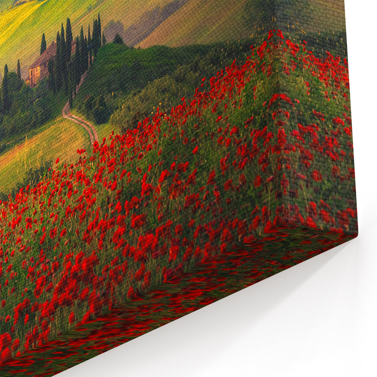 Tuscan Countryside Canvas – Poppy Fields and Rolling Hills at Sunset Print
