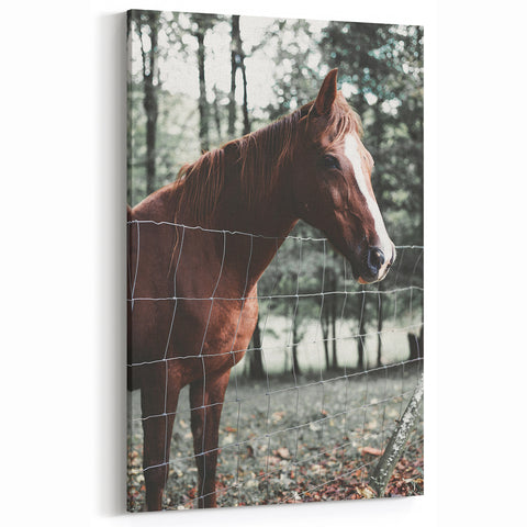 Farmhouse Wall Art Horse by Fence Print | Rustic Country Animal Decor