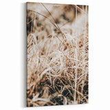 Farmhouse Wall Art Dry Grass Close-Up | Rustic Nature-Inspired Decor