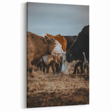 Country Style Farmhouse Wall Art | Cattle Print | Rustic Farmhouse Decor