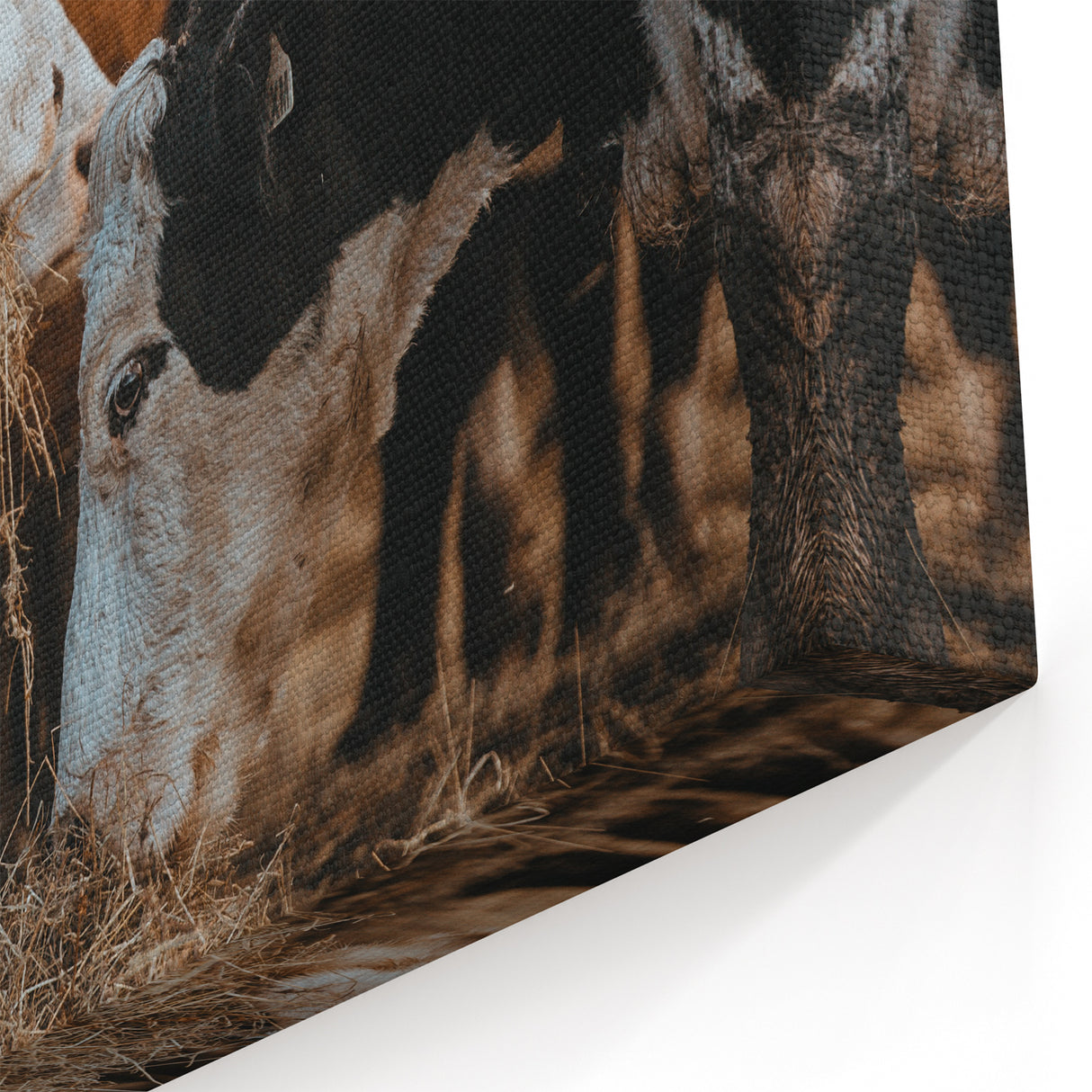 Country Style Farmhouse Wall Art | Cattle Print | Rustic Farmhouse Decor