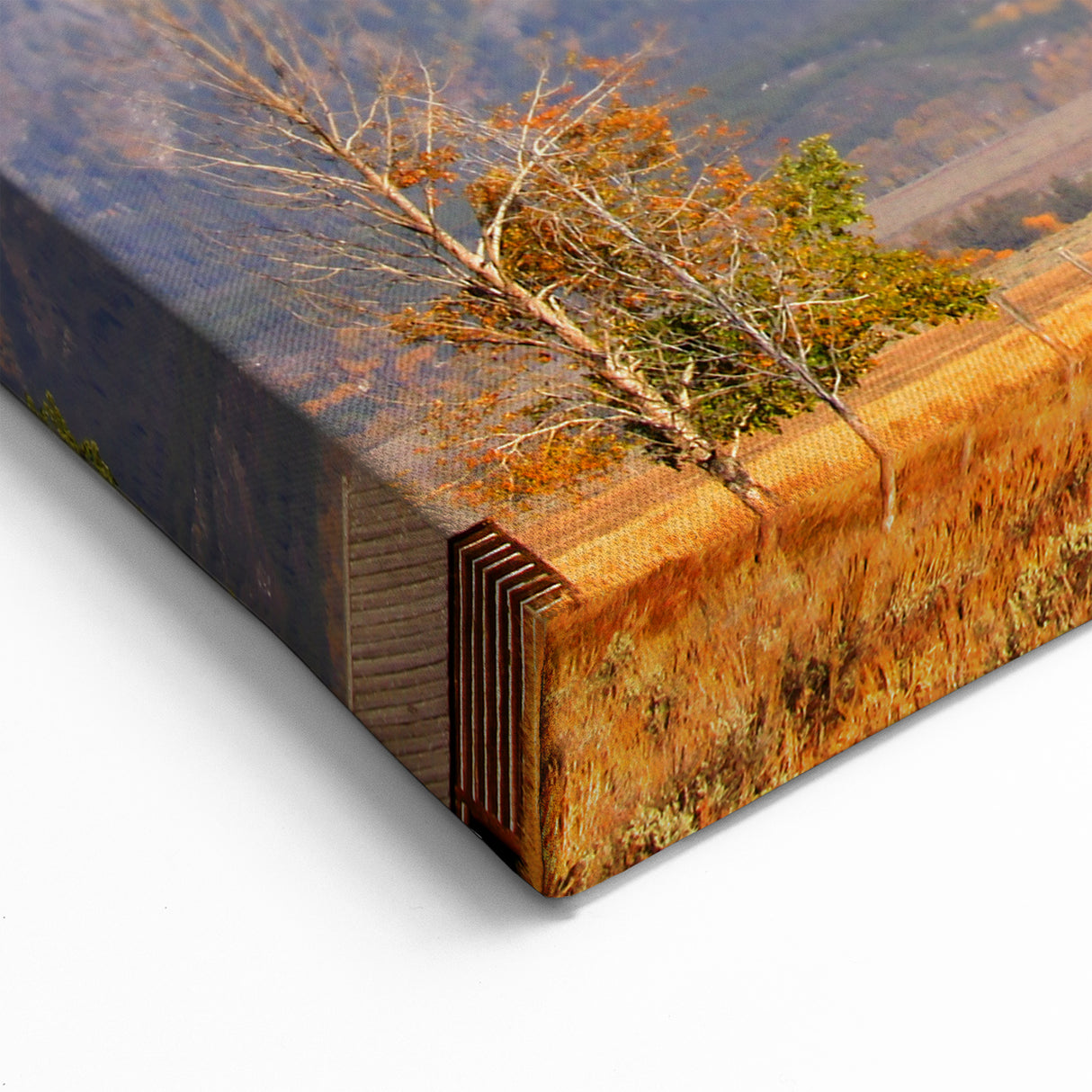 Grand Teton Canvas Print – Rustic Barn and Majestic Mountain View