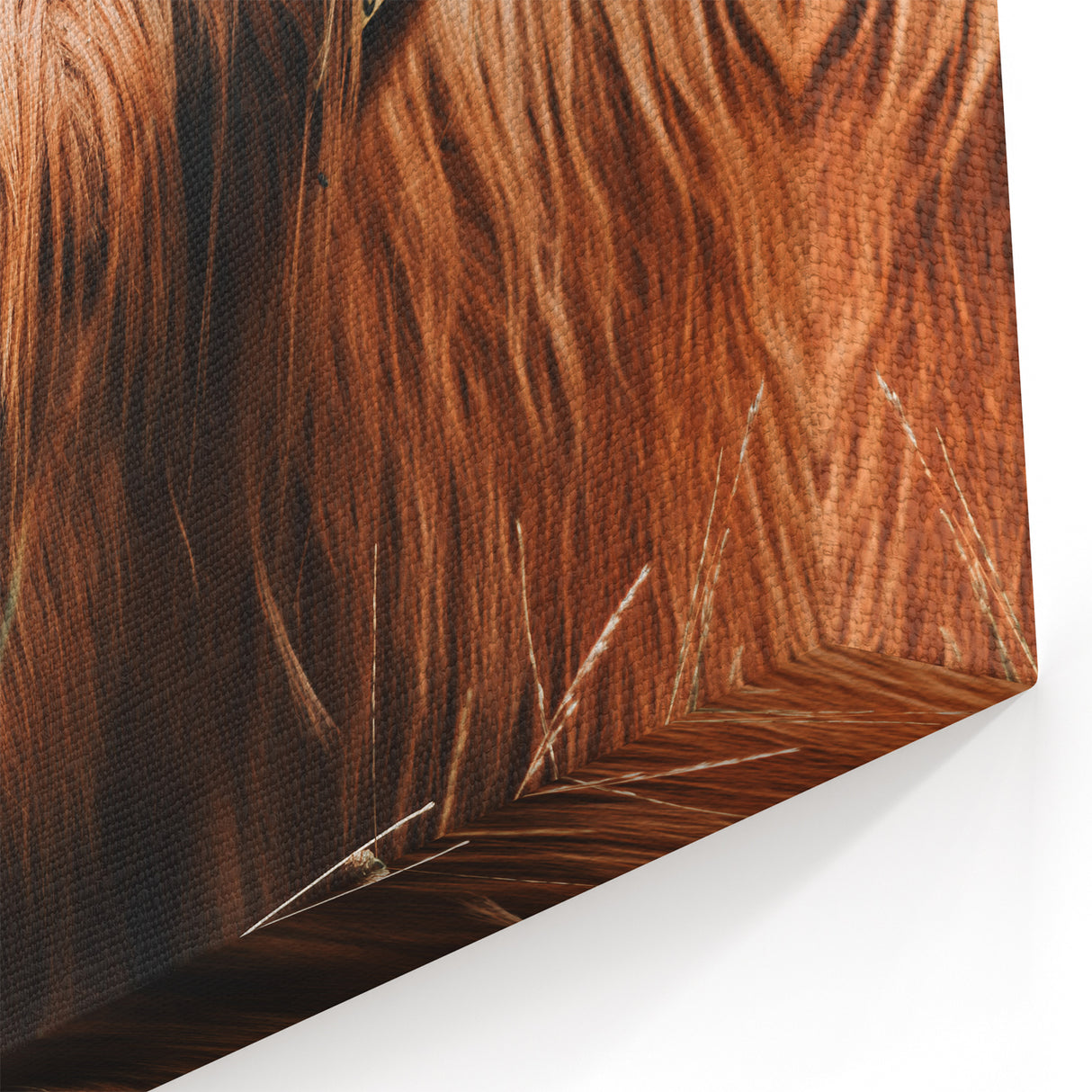 Highland Cow Farmhouse Wall Art | Rustic Country Decor | Animal Print
