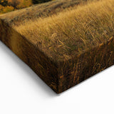 Teton Range Wall Decor – Sunlit Landscape with Majestic Mountains