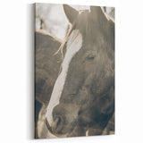 Rustic Horse Wall Art | Farmhouse Decor | Country Style Animal Print