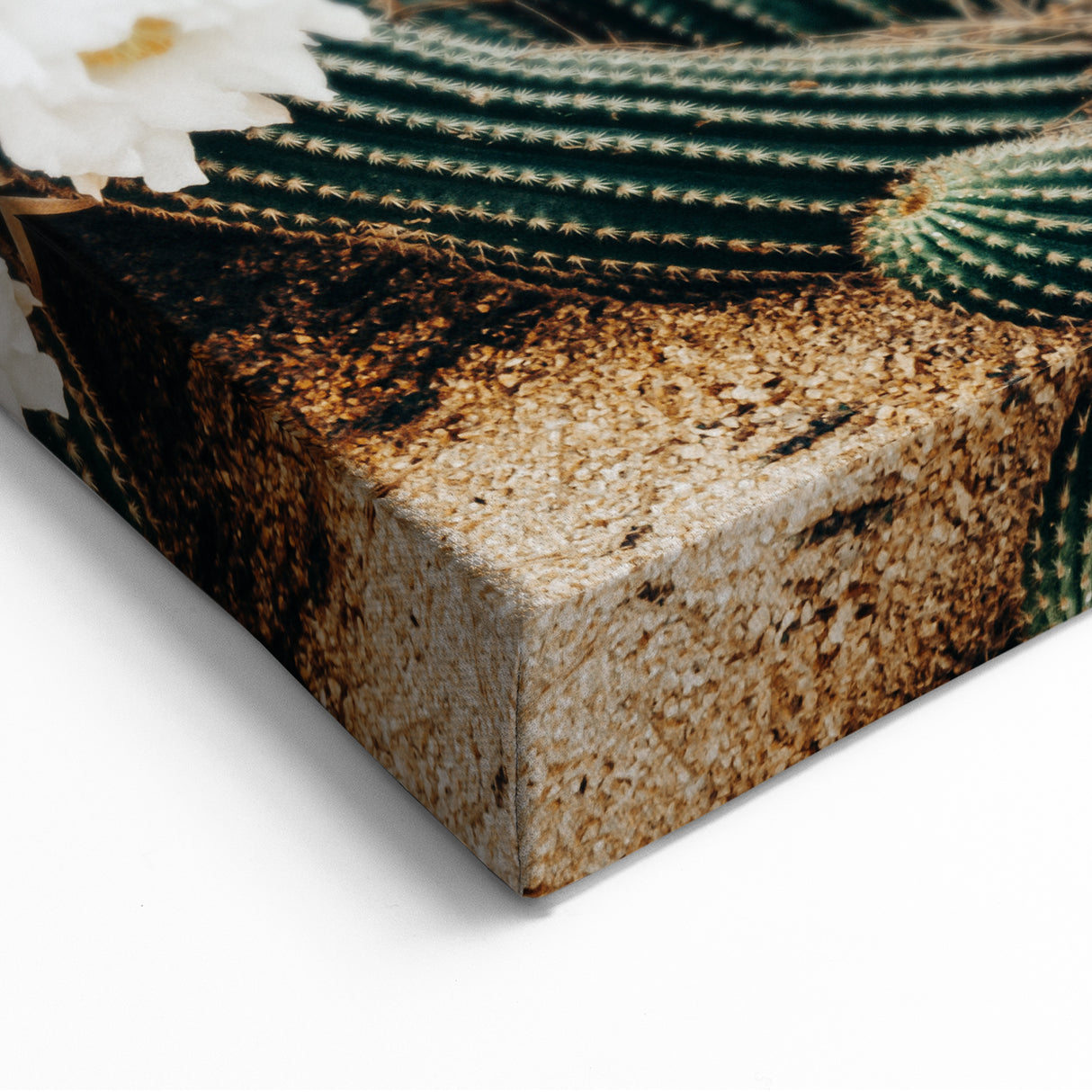 Farmhouse Wall Art – Rustic Cactus Flower Print for Country Style Decor