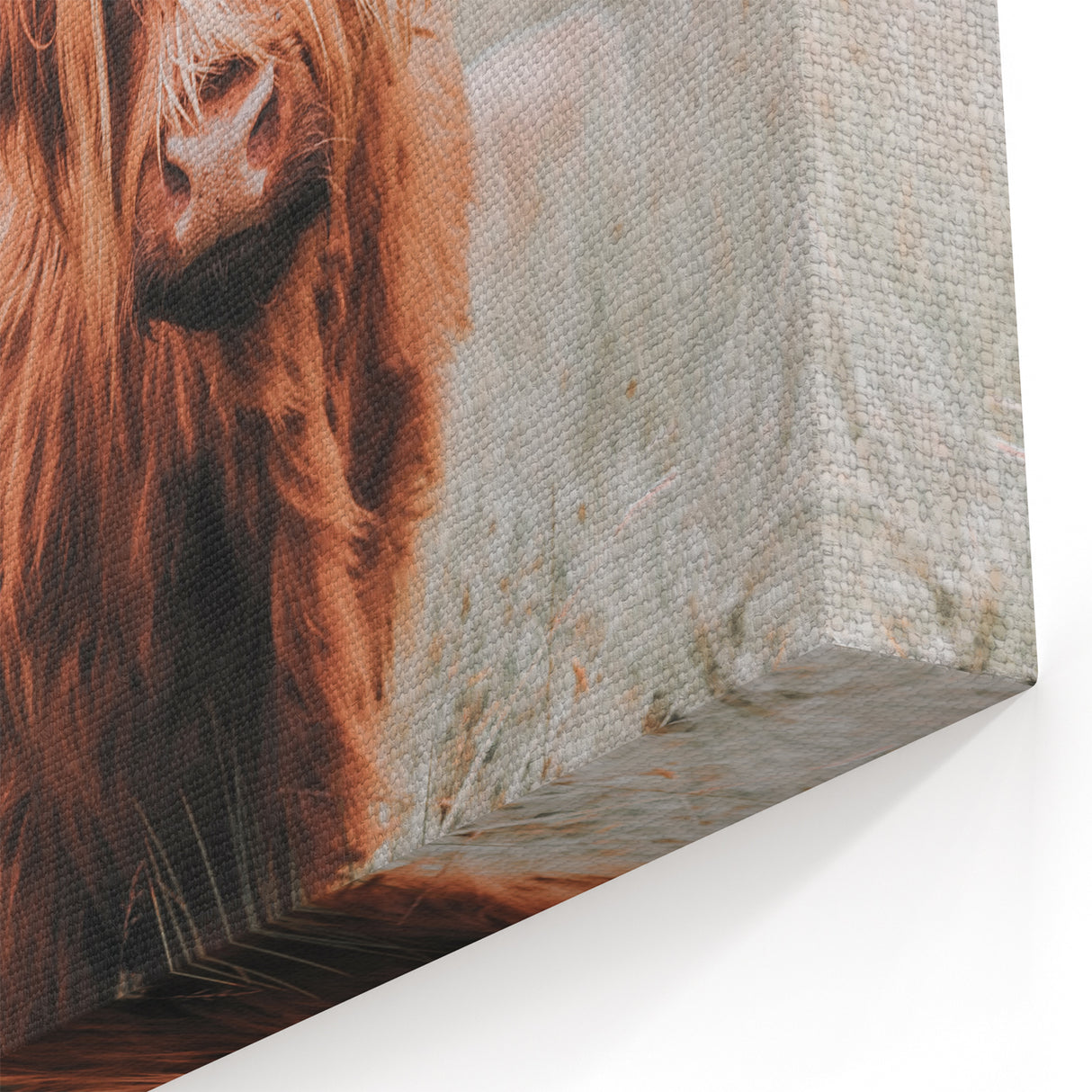 Rustic Farmhouse Wall Art - Highland Cow Country Style Decor Print