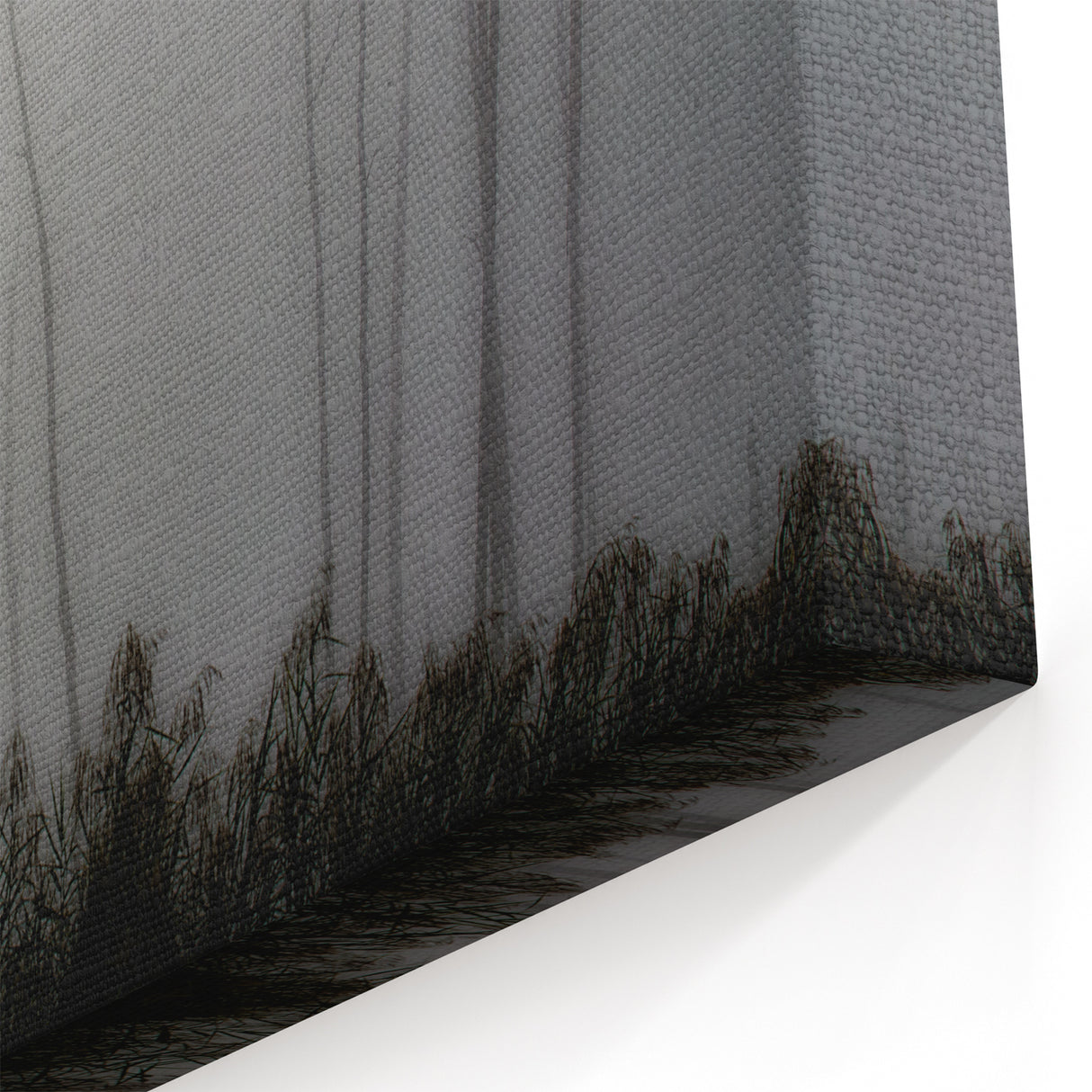 Louisiana Nature Prints – Mysterious Trees in Foggy Wetlands Landscape