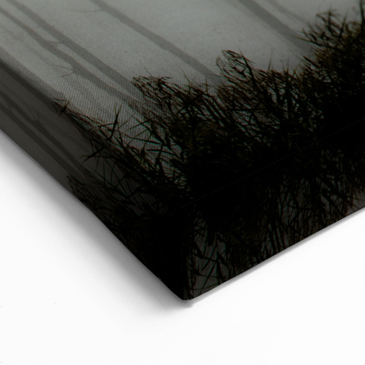 Louisiana Nature Prints – Mysterious Trees in Foggy Wetlands Landscape