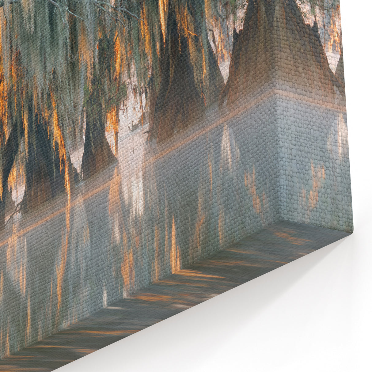 Louisiana Swamp Paintings – Cypress Trees with Spanish Moss in the Mist