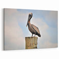 Louisiana Wildlife Prints – Brown Pelican Perched with Cloudy Sky Backdrop