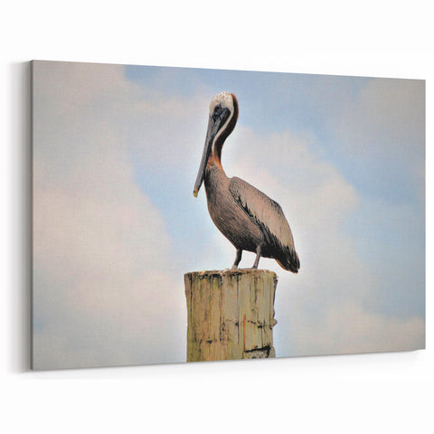 Louisiana Wildlife Prints – Brown Pelican Perched with Cloudy Sky Backdrop