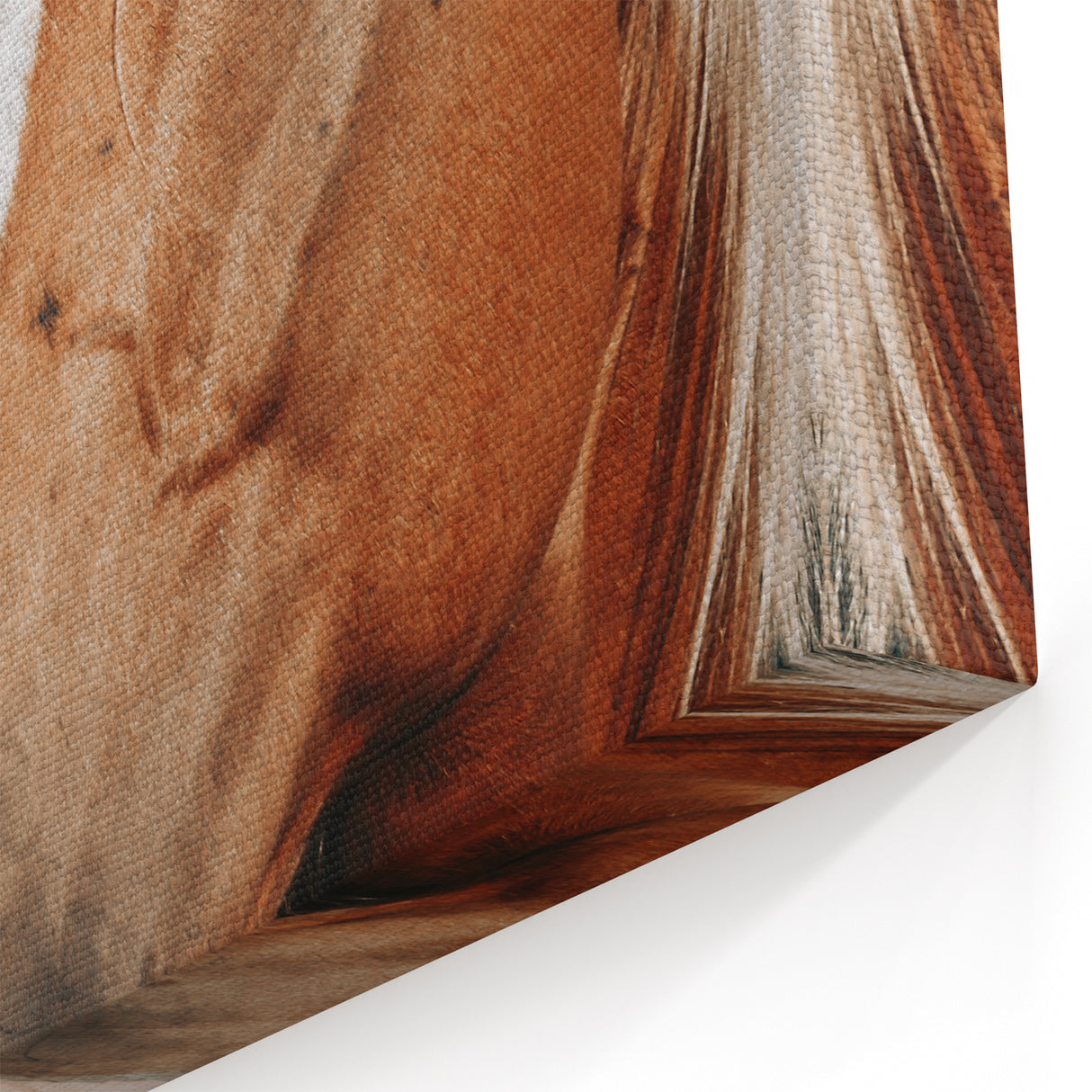 Farmhouse Wall Art - Blonde Horse Portrait Rustic Country Style Decor