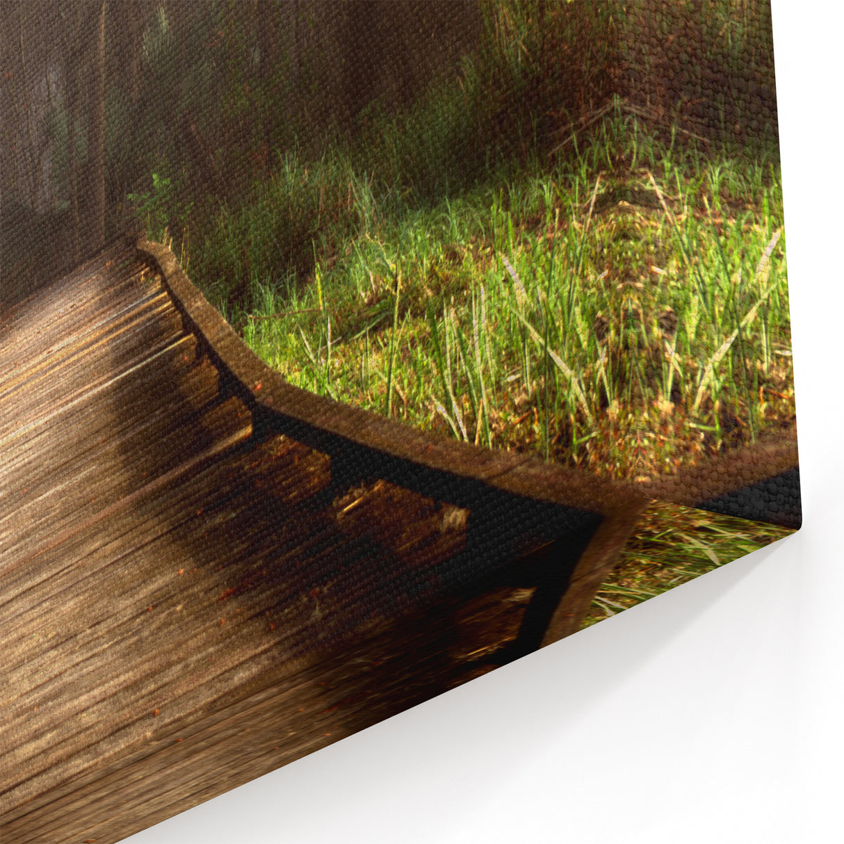 Louisiana Swamp Paintings - Serene Bayou Boardwalk in Morning Light