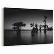 Louisiana Scenic Photography - Mystical Bayou Silhouette at Dusk