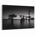 Louisiana Scenic Photography - Mystical Bayou Silhouette at Dusk