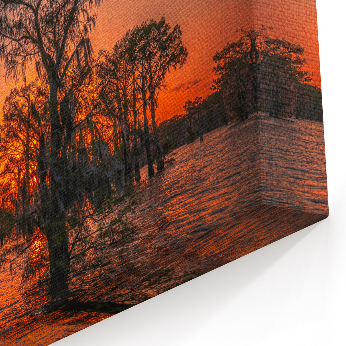 Louisiana Swamp Paintings - Fiery Sunset Over Cypress Trees and Bayou