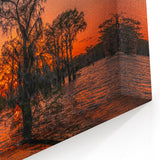 Louisiana Swamp Paintings - Fiery Sunset Over Cypress Trees and Bayou
