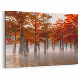 Louisiana Nature Prints - Autumn Cypress Trees in Misty Bayou