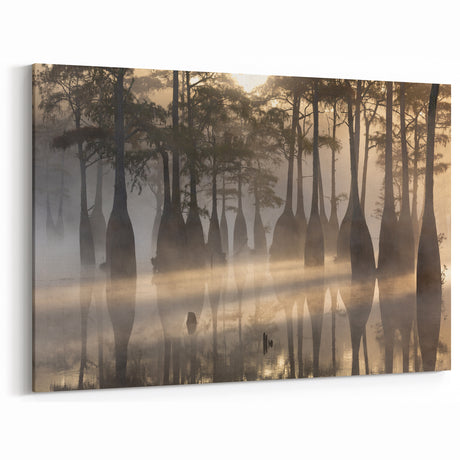 Louisiana Scenic Photography - Misty Cypress Trees in Early Morning Light
