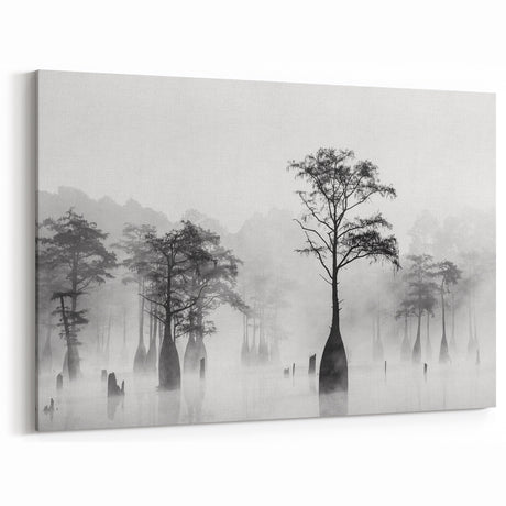 Black and White Louisiana Wall Art - Misty Cypress Trees in the Bayou