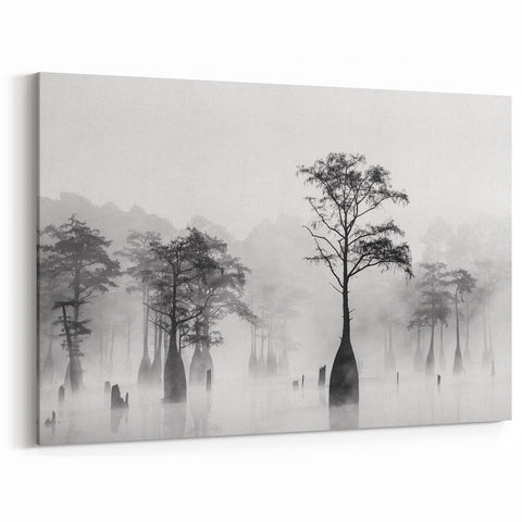 Black and White Louisiana Wall Art - Misty Cypress Trees in the Bayou