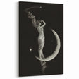Dark Academia Wall Art | Vintage Gothic Moon Lady | Shadowy Art Piece