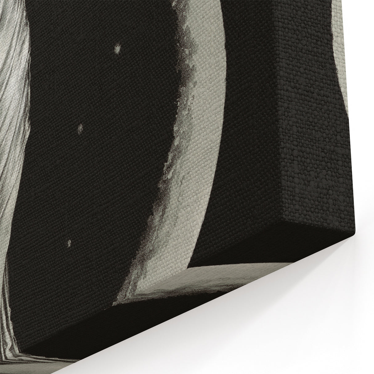 Dark Academia Wall Art | Vintage Gothic Moon Lady | Shadowy Art Piece