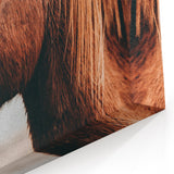Farmhouse Wall Art - Majestic Horse Portrait Rustic Country Style Decor