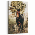 Majestic Horse in Nature - Rustic Farmhouse Wall Art for Country Homes