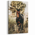 Majestic Horse in Nature - Rustic Farmhouse Wall Art for Country Homes