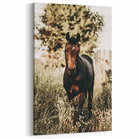 Majestic Horse in Nature - Rustic Farmhouse Wall Art for Country Homes