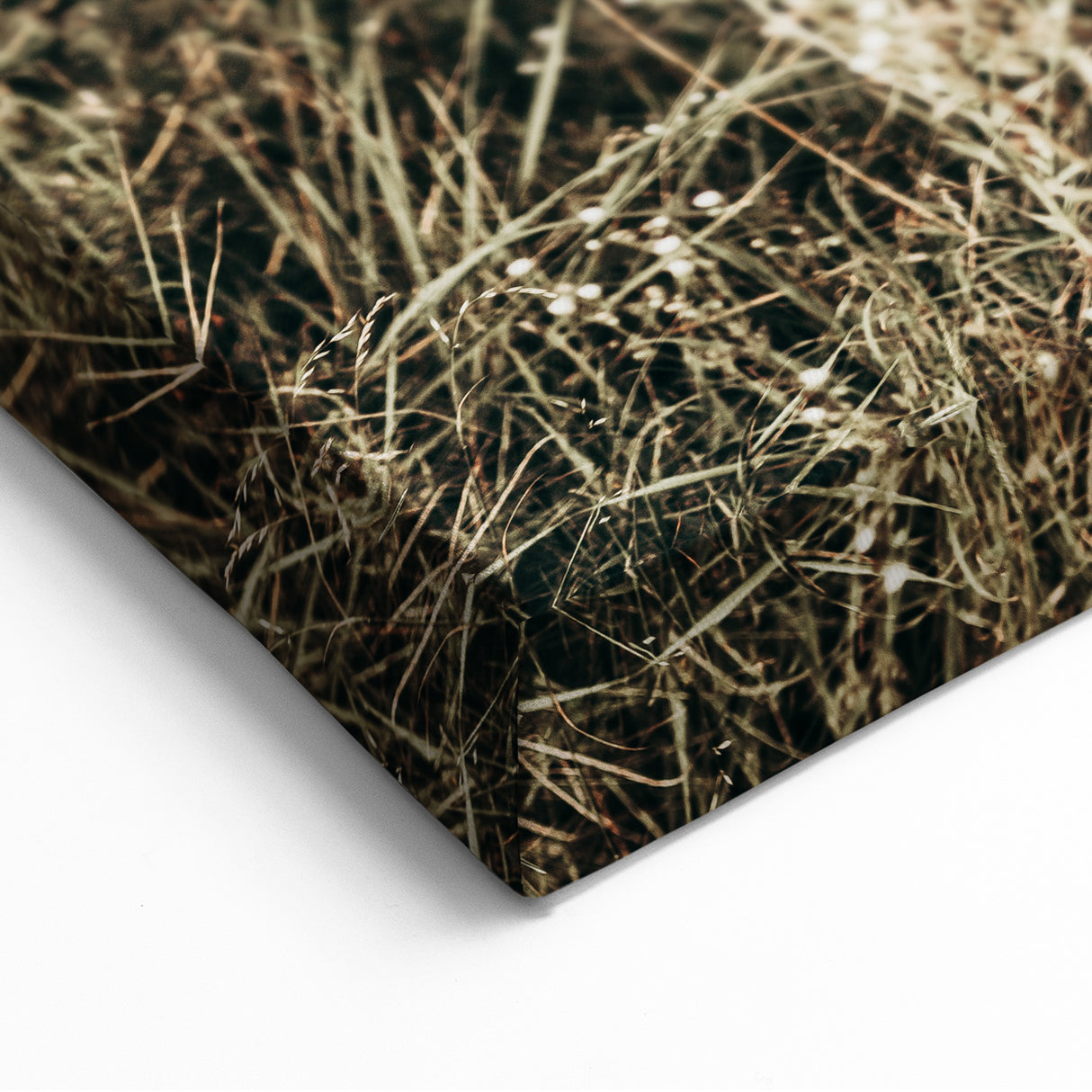 Majestic Horse in Nature - Rustic Farmhouse Wall Art for Country Homes