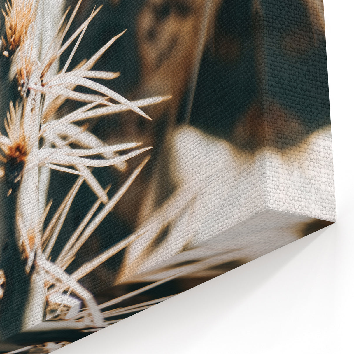 Close-Up Cactus Spines - Rustic Desert Farmhouse Wall Art for Country Decor
