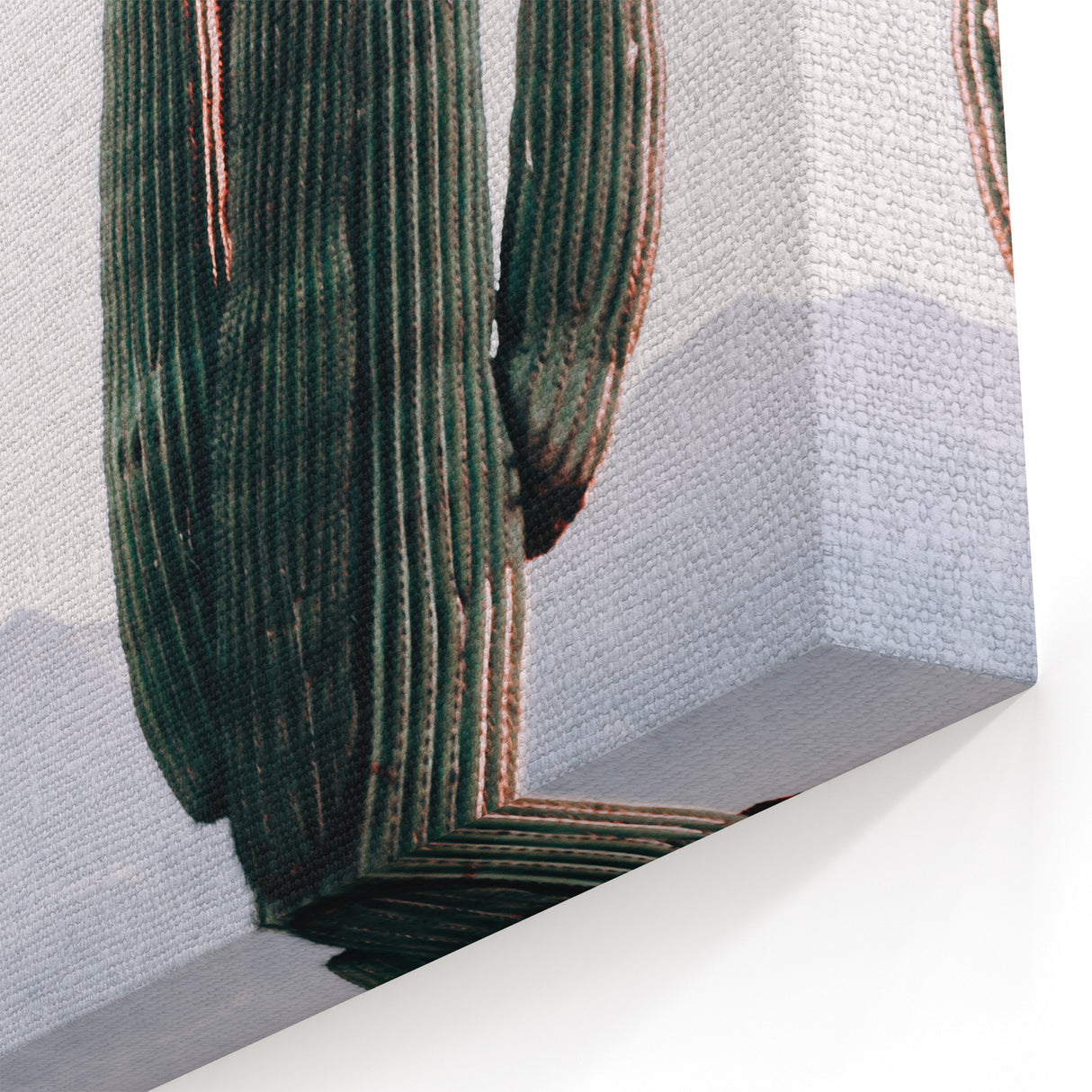 Tall Desert Cactus - Rustic Farmhouse Wall Art for Country Living Homes