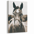 Gentle Horse Portrait - Rustic Farmhouse Wall Art for Country Decor