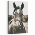 Gentle Horse Portrait - Rustic Farmhouse Wall Art for Country Decor