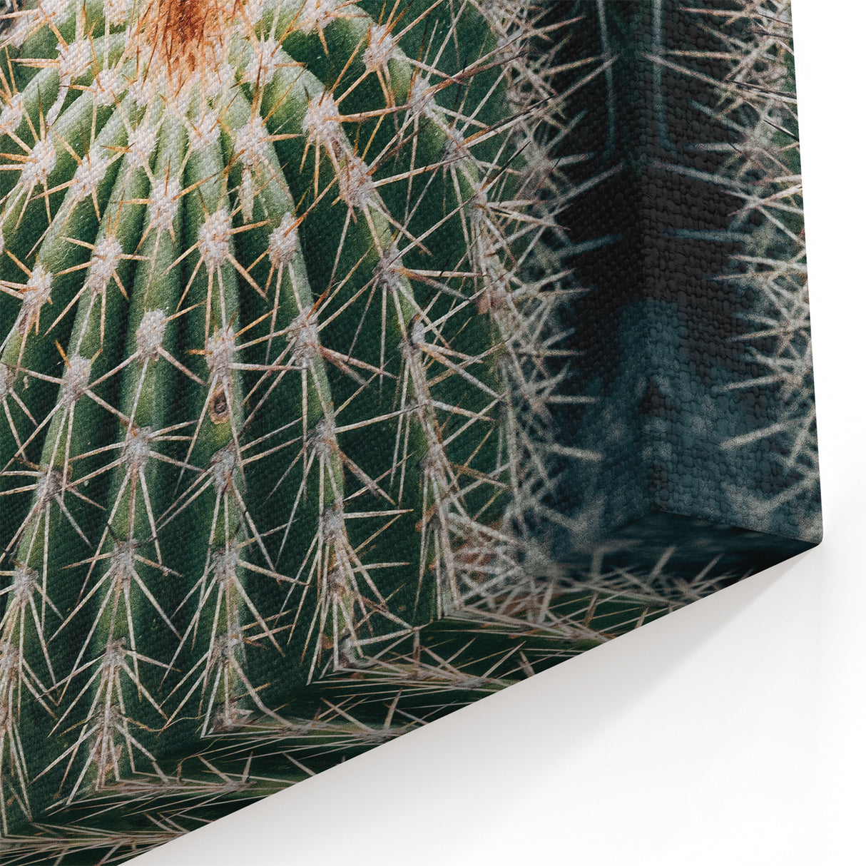 Cluster of Cacti - Rustic Desert-Inspired Farmhouse Wall Art for Home Decor