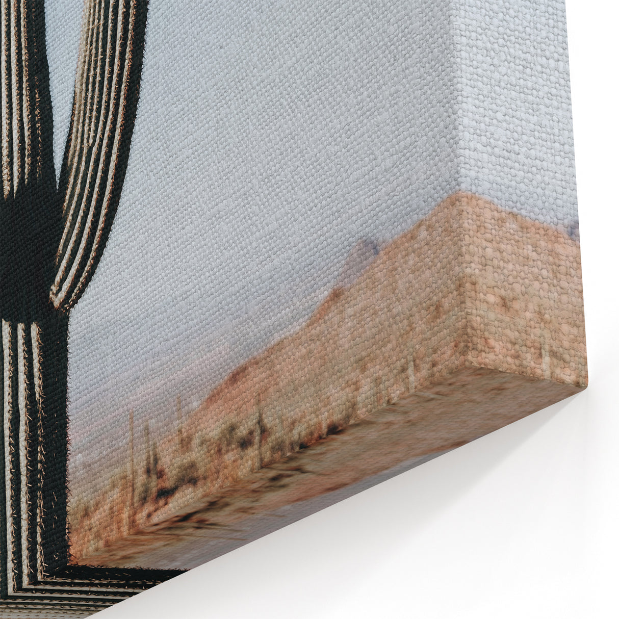 Desert Cactus Landscape - Rustic Farmhouse Wall Art for Country Decor