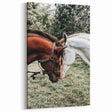 Farmhouse Wall Art with Horses – Rustic Farmhouse Decor, Country Style