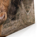 Farmhouse Wall Art - Rustic Highland Cow Print for Country Decor
