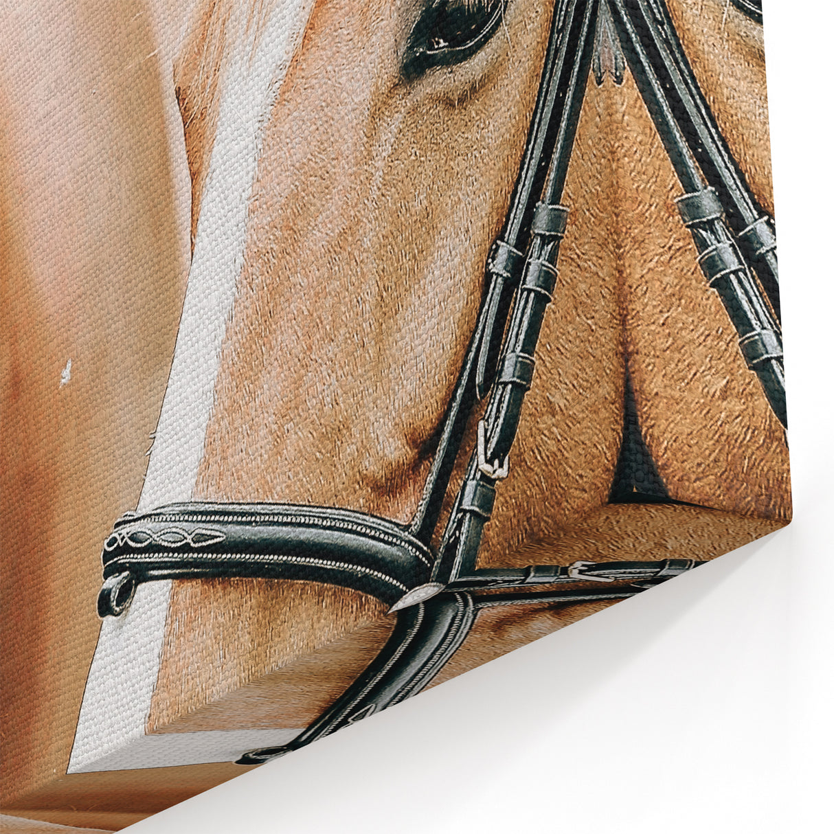 Farmhouse Wall Art - Two Horses Rustic Country Decor for Farmhouse Homes