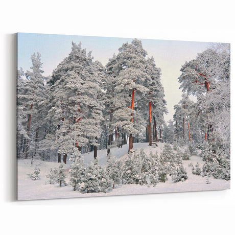 Latvia Canvas Prints - Snowy Baltic Forest in Winter Wonderland