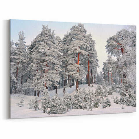 Latvia Canvas Prints - Snowy Baltic Forest in Winter Wonderland